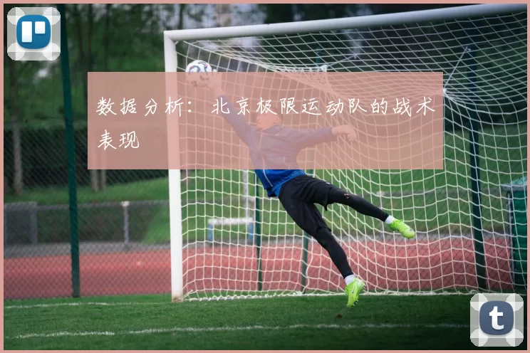 数据分析：北京极限运动队的战术表现
