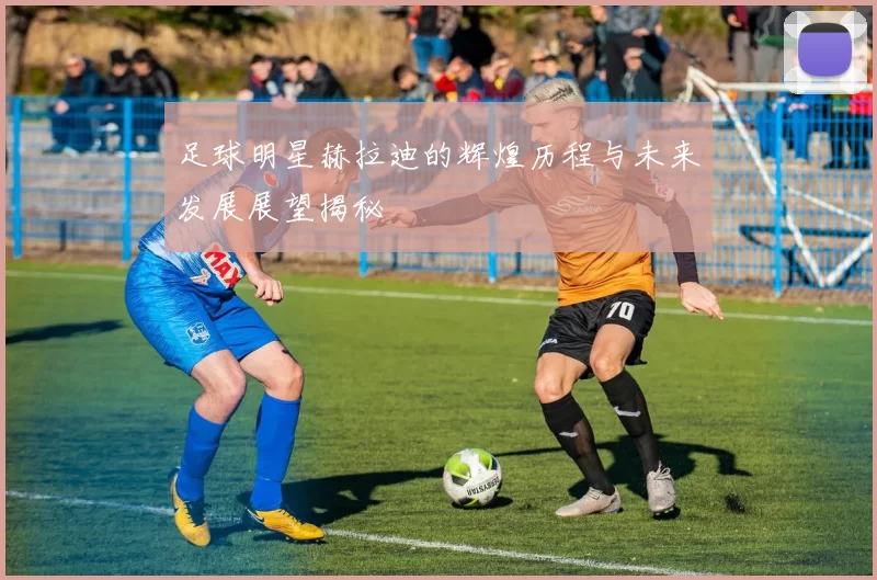足球明星赫拉迪的辉煌历程与未来发展展望揭秘