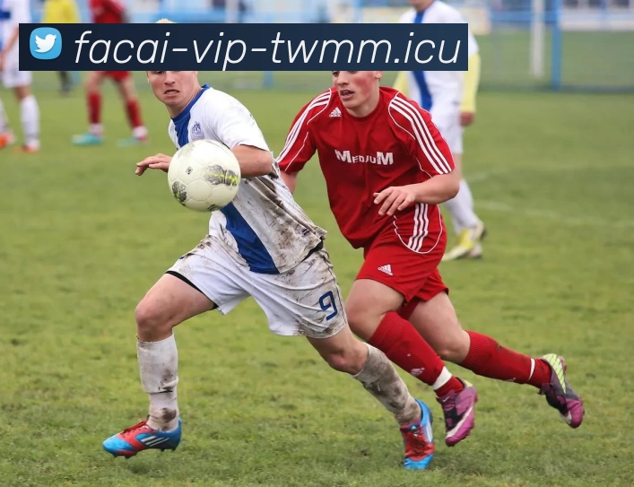 足球明星奢华消费背后的疯狂故事与社会影响探讨